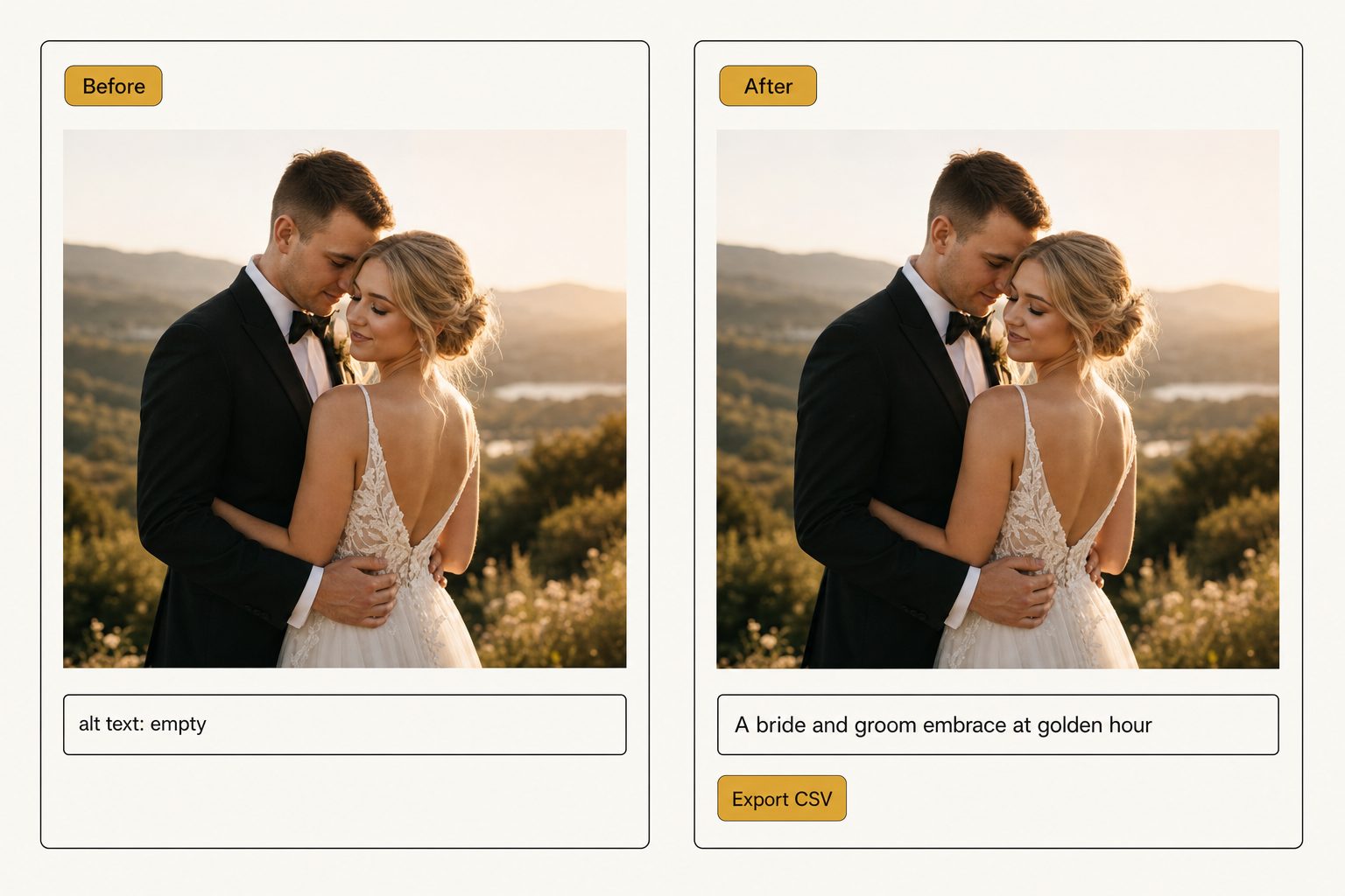 A before-and-after product mockup: an empty alt-text field on a wedding photo beside the same photo with a generated editorial sentence and an Export CSV chip.