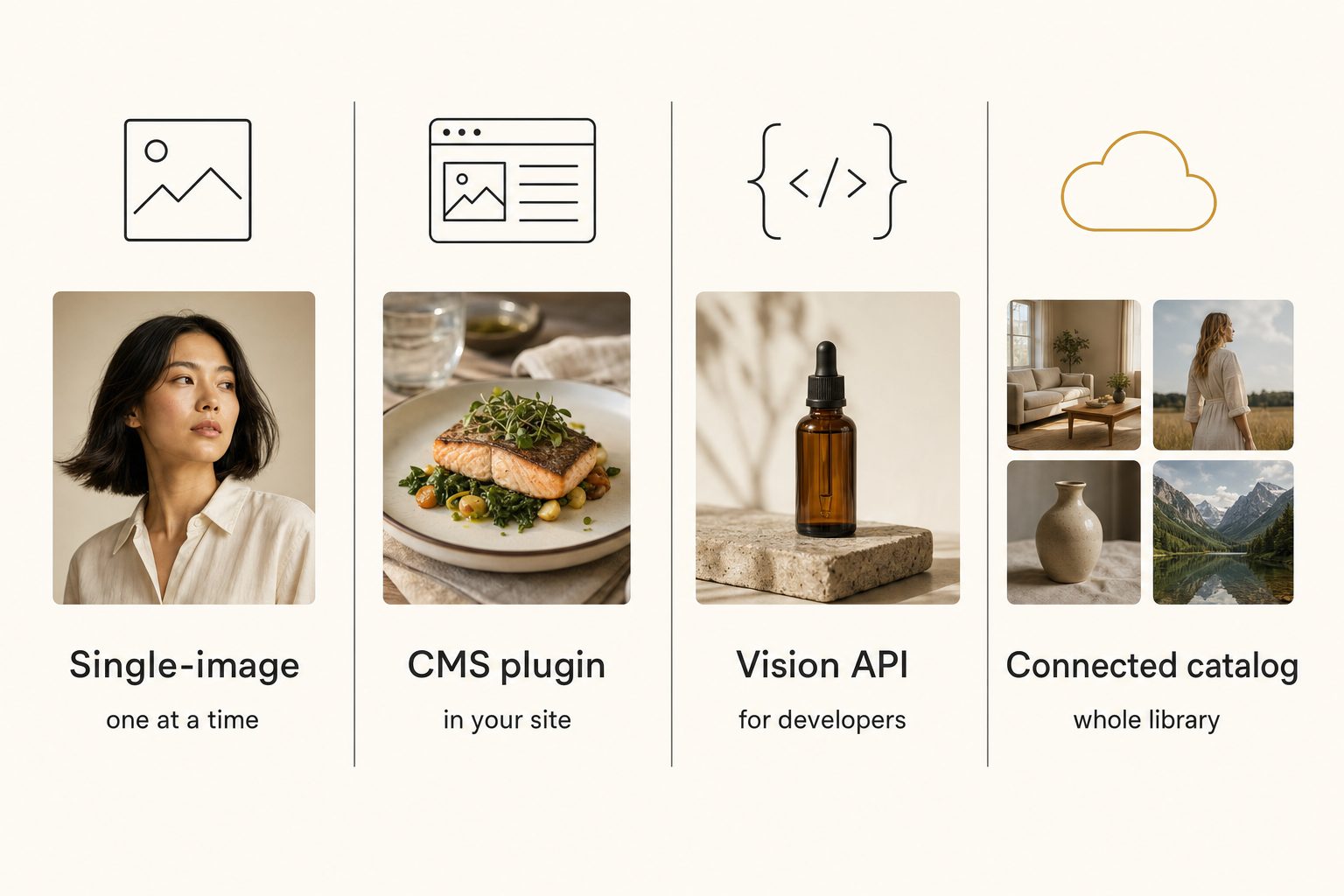 An editorial diagram of the four kinds of AI alt text generator, shown as four labeled panels: Single-image, CMS plugin, Vision API, and Connected catalog.