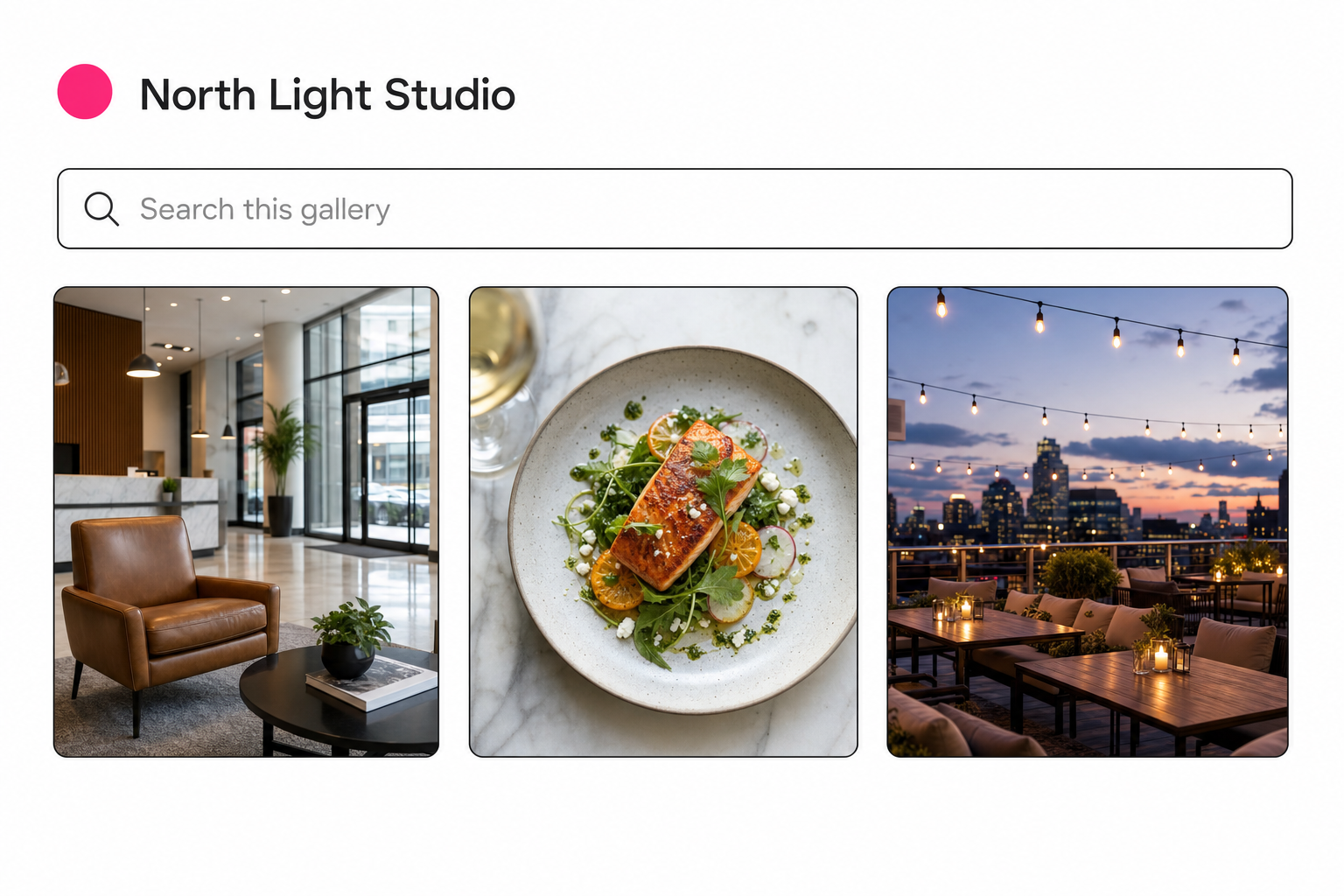 A branded client photo gallery header with a studio logo, gallery title, and search box above photo thumbnails.