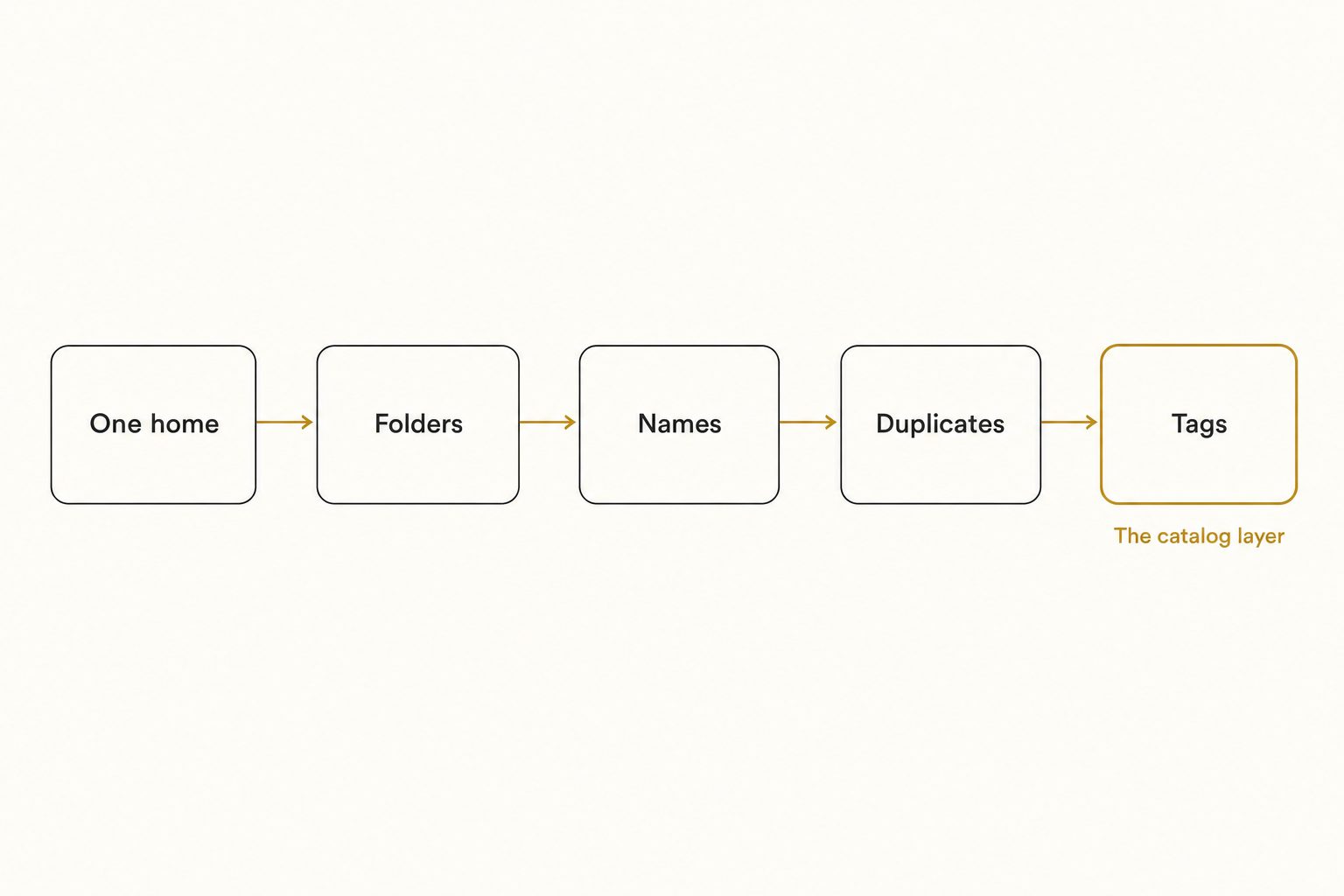 A five-step diagram for how to catalog photos: one home, folders, names, duplicates, and tags as the catalog layer.