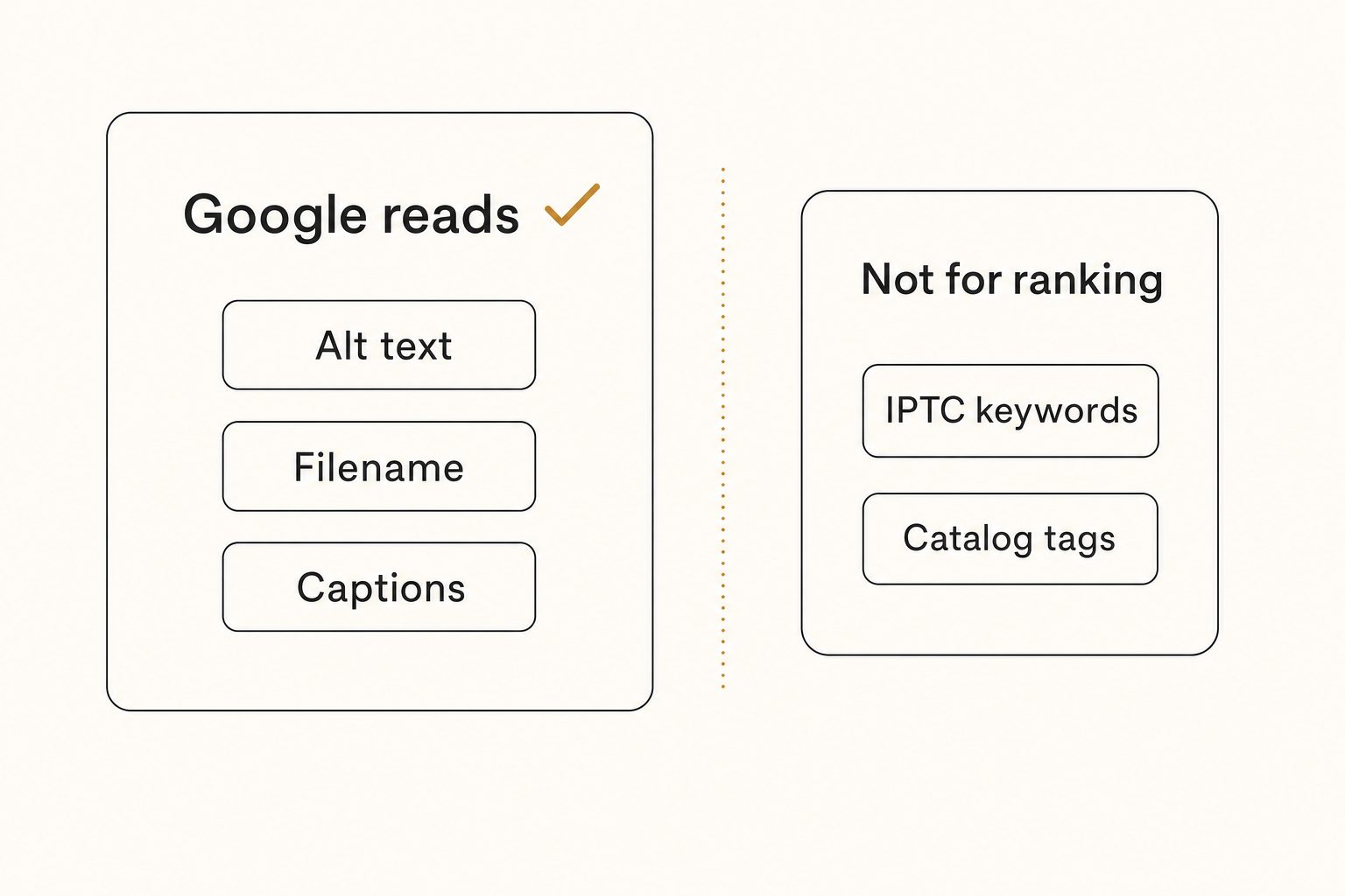 Diagram splitting image tags into the ones Google reads for ranking and the ones it does not.
