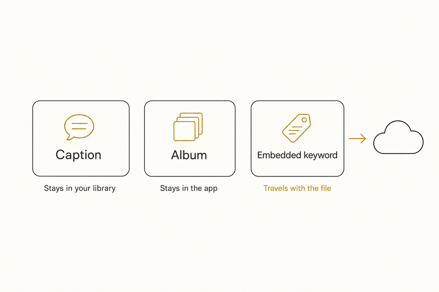 Diagram of where iPhone photo labels live: captions stay in your library, albums stay in the app, embedded keywords travel with the file.