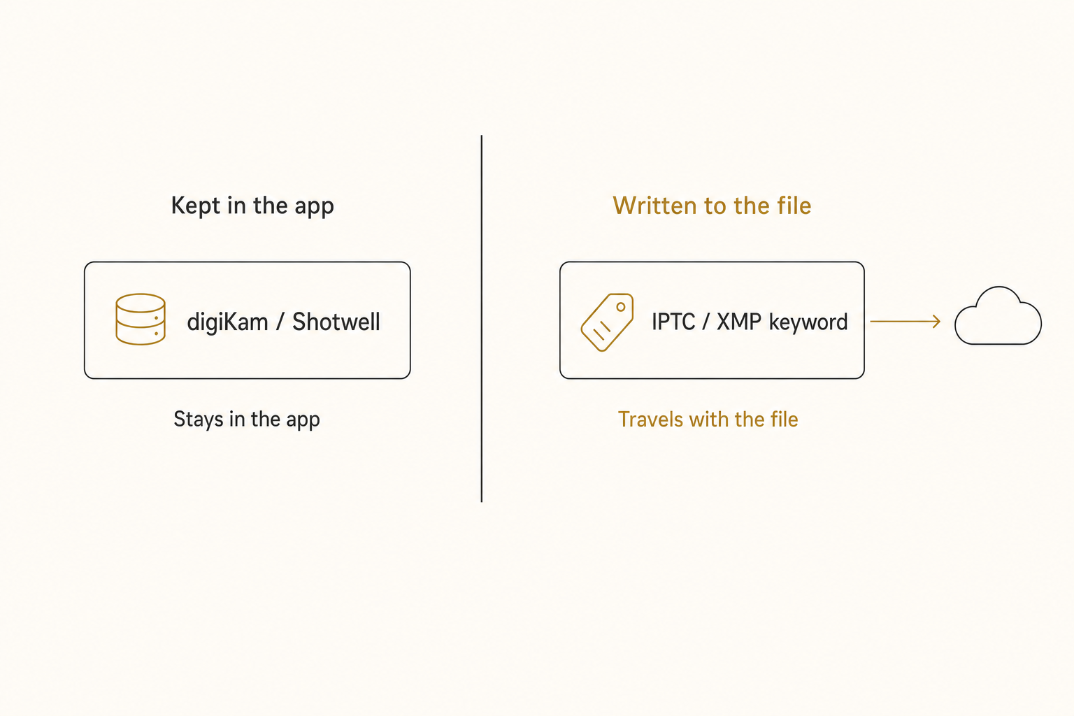 Diagram of where Linux photo tags live: app-database tags stay in digiKam or Shotwell, embedded IPTC and XMP keywords travel with the file.