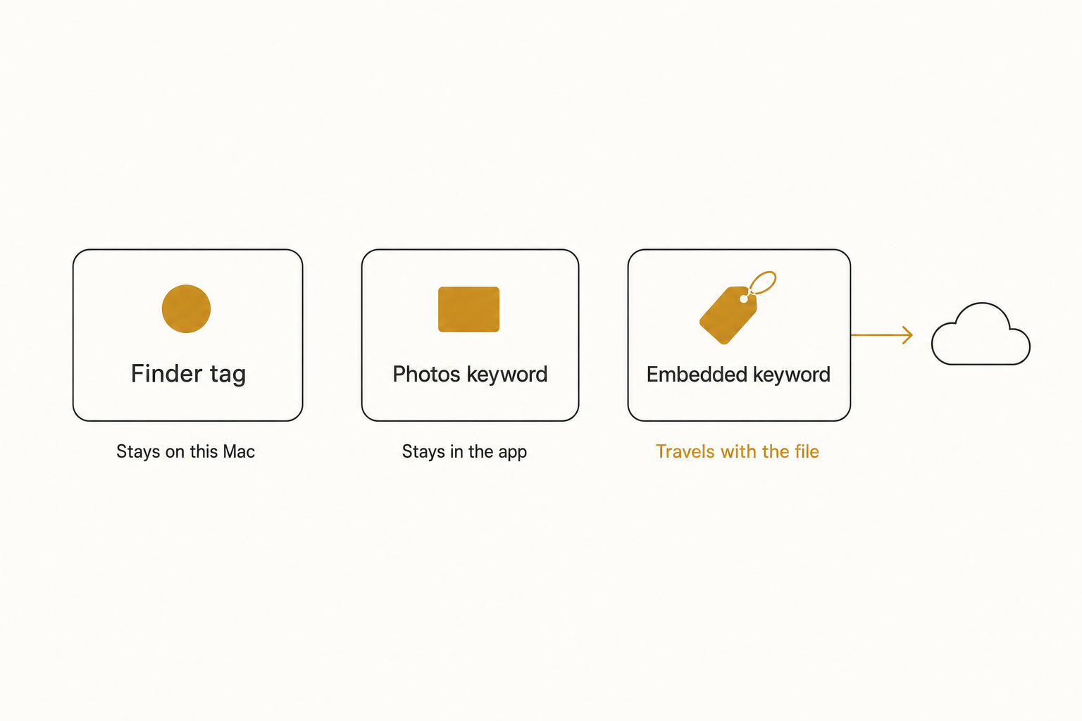 Diagram of where Mac photo tags live: Finder tags stay on the Mac, Photos keywords stay in the app, embedded keywords travel with the file.