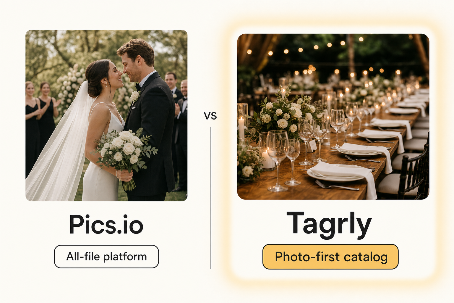 A side-by-side card weighing Pics.io, an all-file-type platform, against Tagrly, a photo-first searchable catalog.