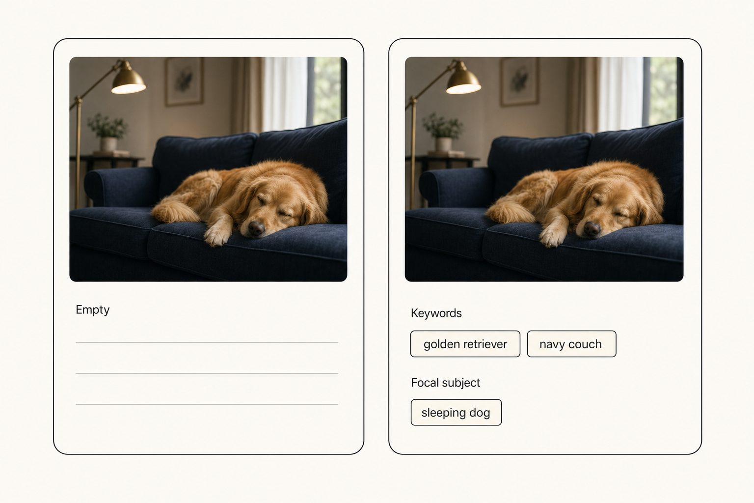 A photo's empty metadata panel on the left and the same photo with AI-generated description, keywords, and focal subject on the right.
